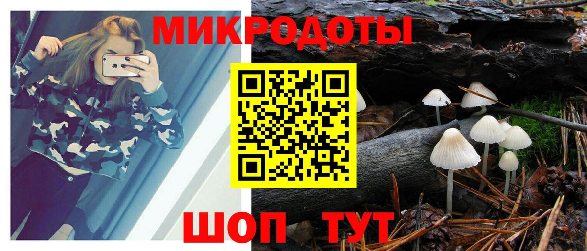 Псилоцибиновые грибы Cubensis  Вход с VPN  Благовещенск 